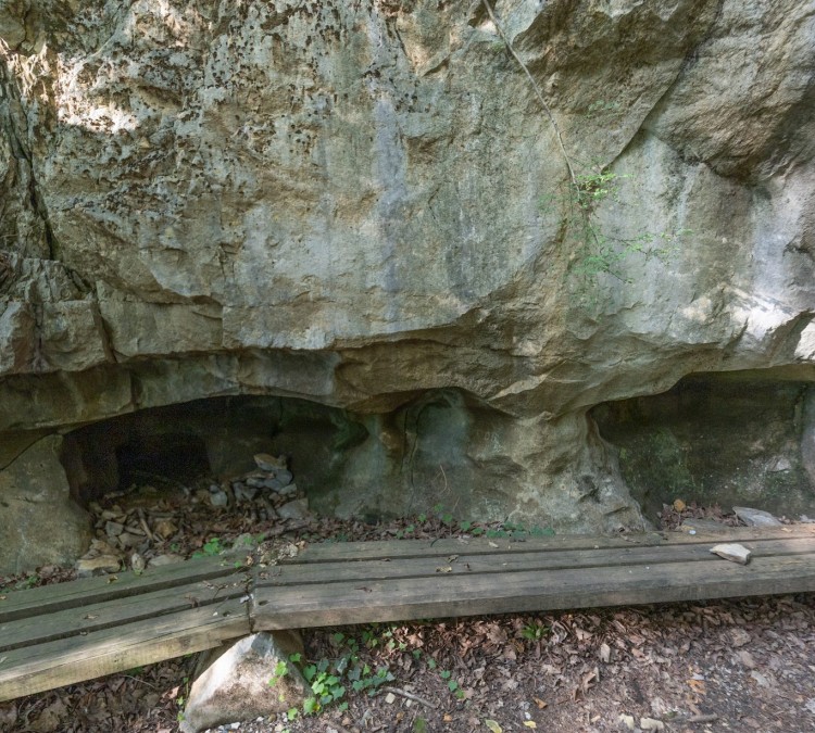Student Park Cave (Ooltewah,&nbspTN)
